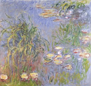 Water-Lilies, Cluster of Grass